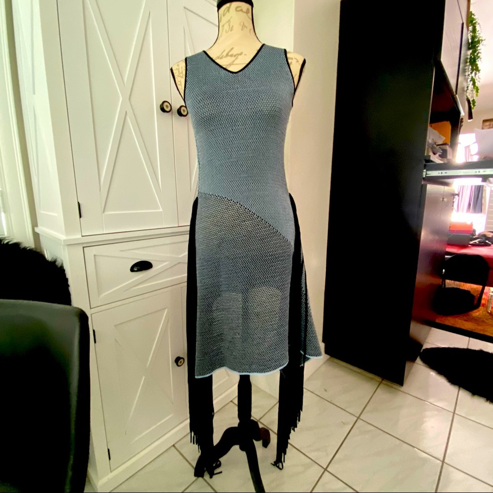 Stella McCartney Knit Fringe Dress